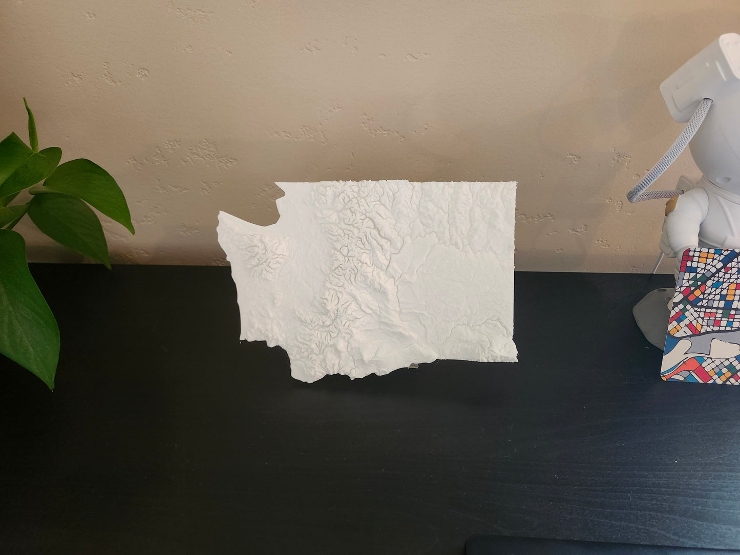 State of Washington - Small Print