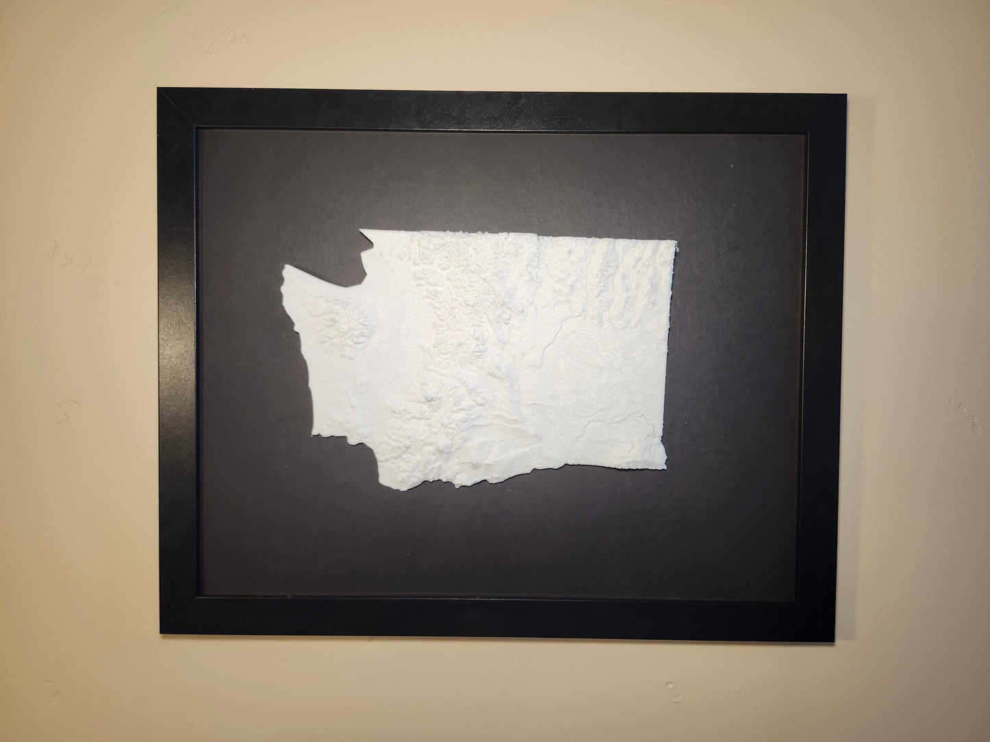 State of Washington - Small Print