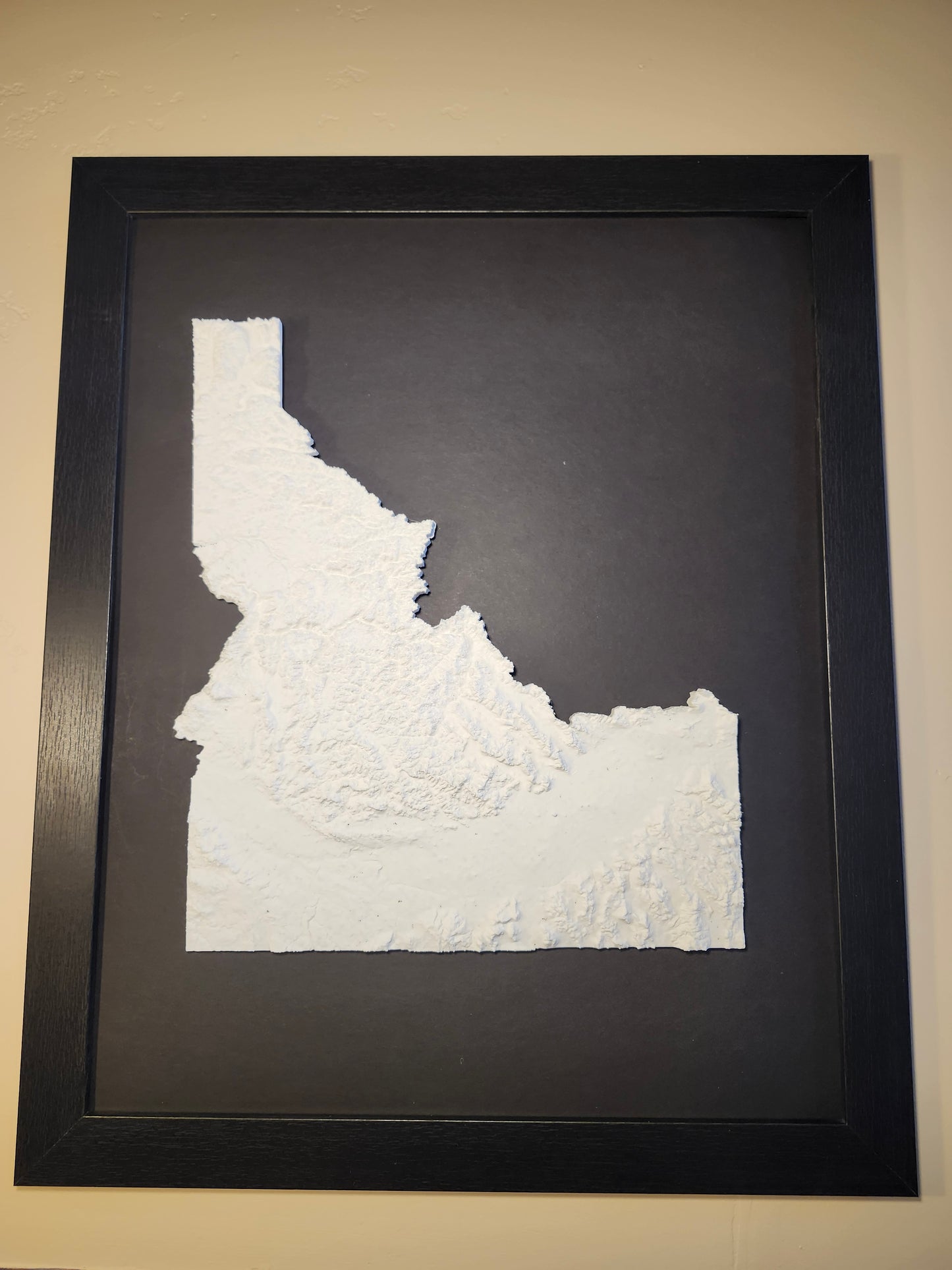 State of Idaho - Standard Print