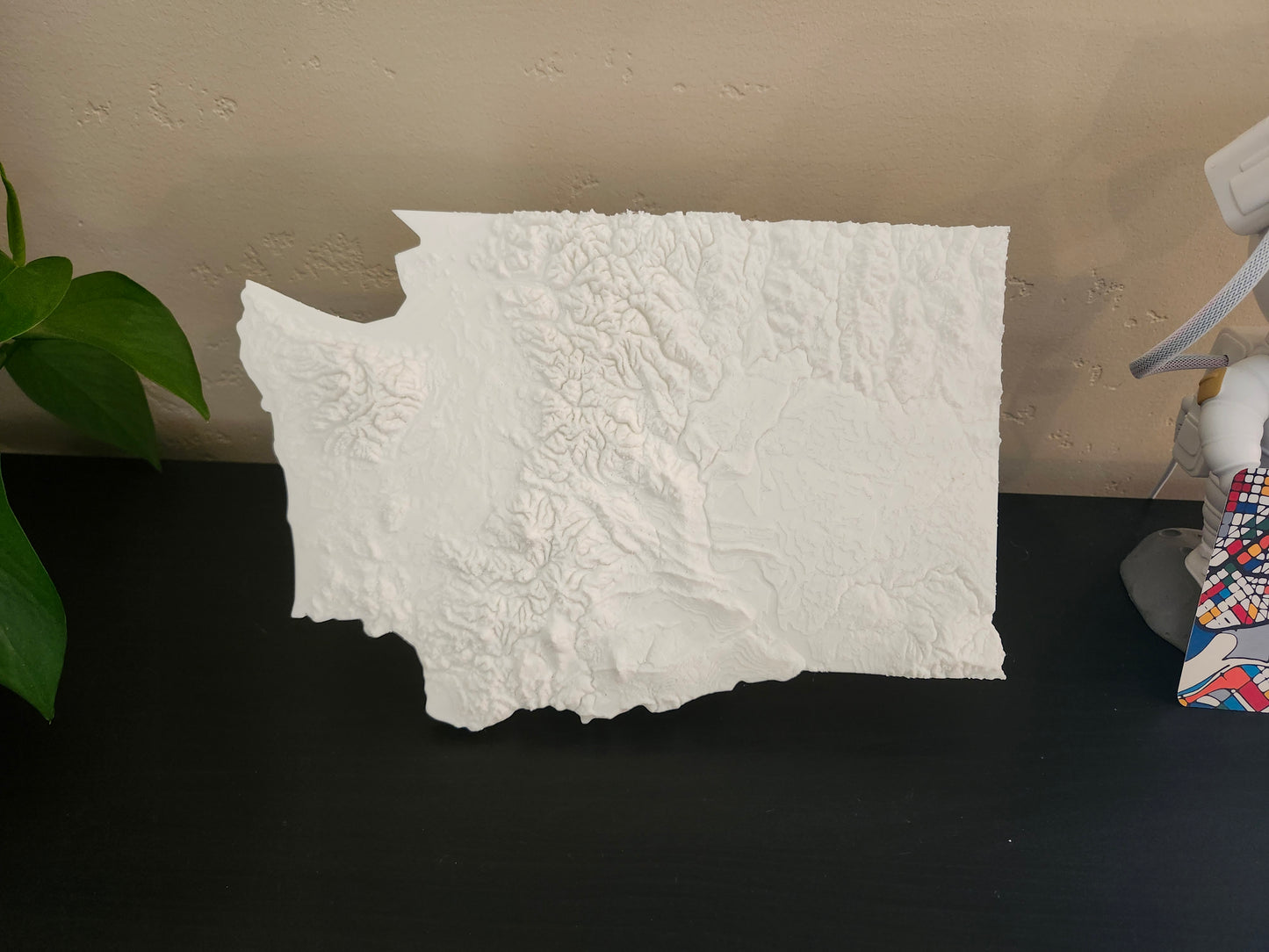 State of Washington - Standard Print