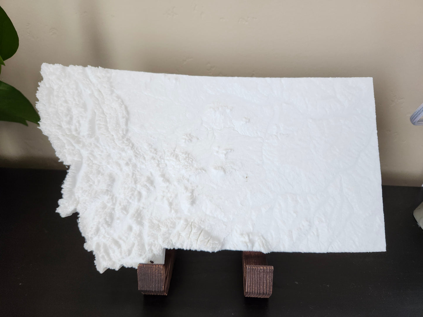 State of Montana - Standard Print